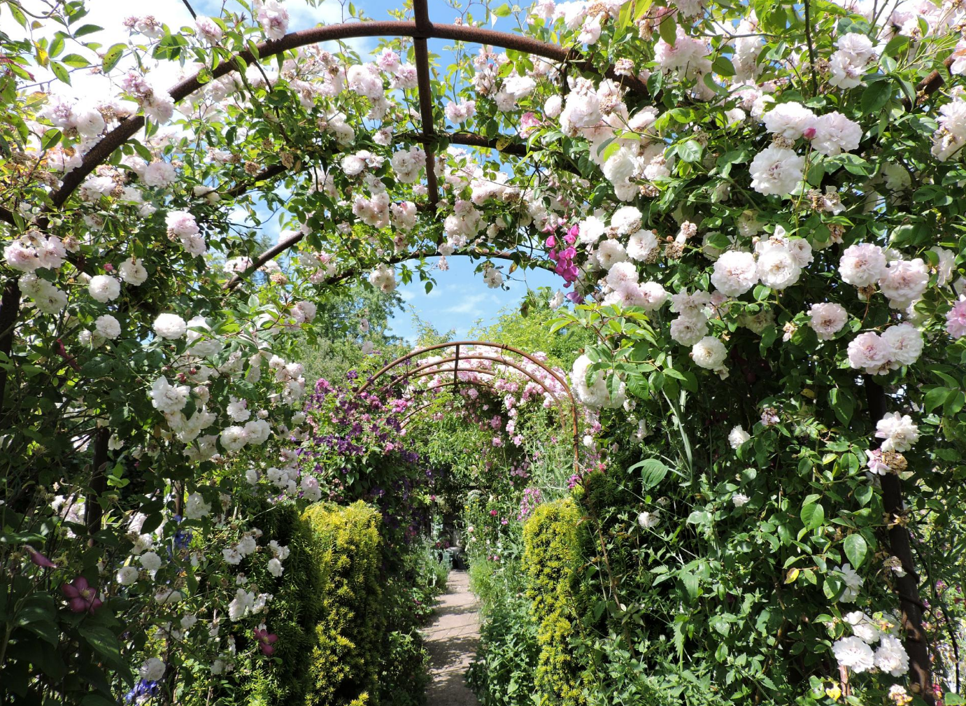 Foto: Georg Hansul, Naturgarten: Roswita Amschler